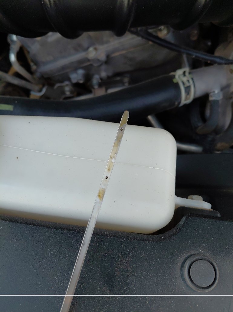 Toyota FJ Cruiser  2021 image