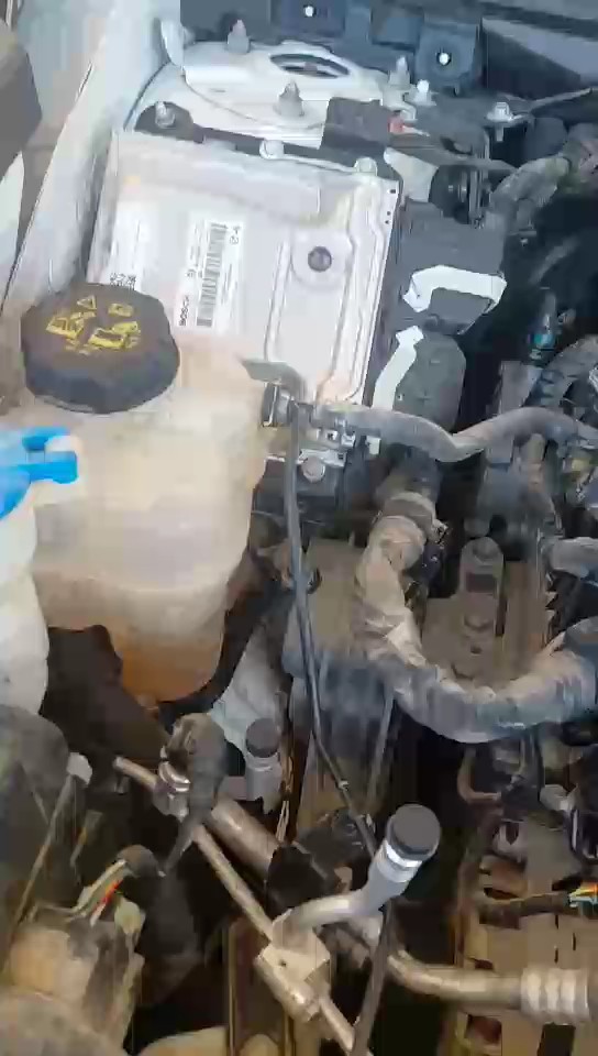 Haval Dargo Sport  2022 video