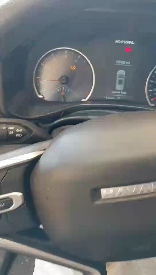 هافال جوليان أكتيف 2024 video