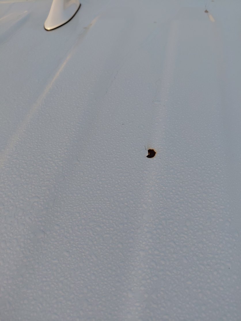 تويوتا راف فور  2022 image