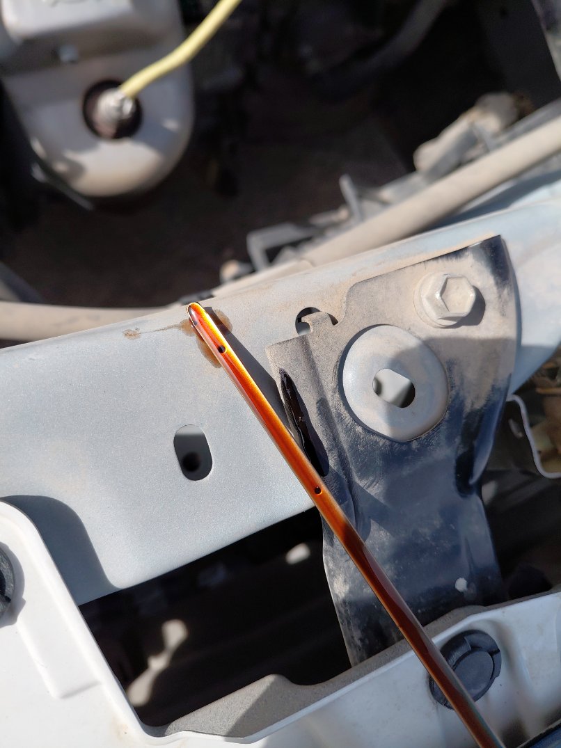 Toyota RAIZE XLE 2024 image