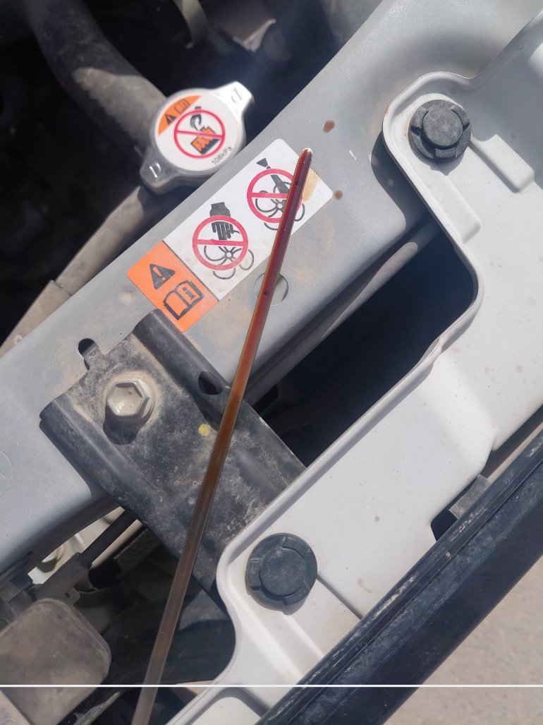 Toyota RAIZE XLE  2024 image