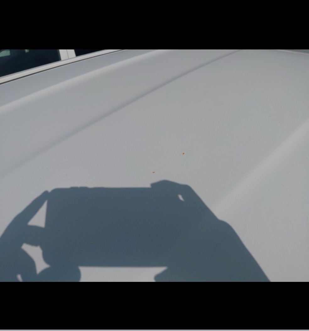 تويوتا هايلكس  2024 image