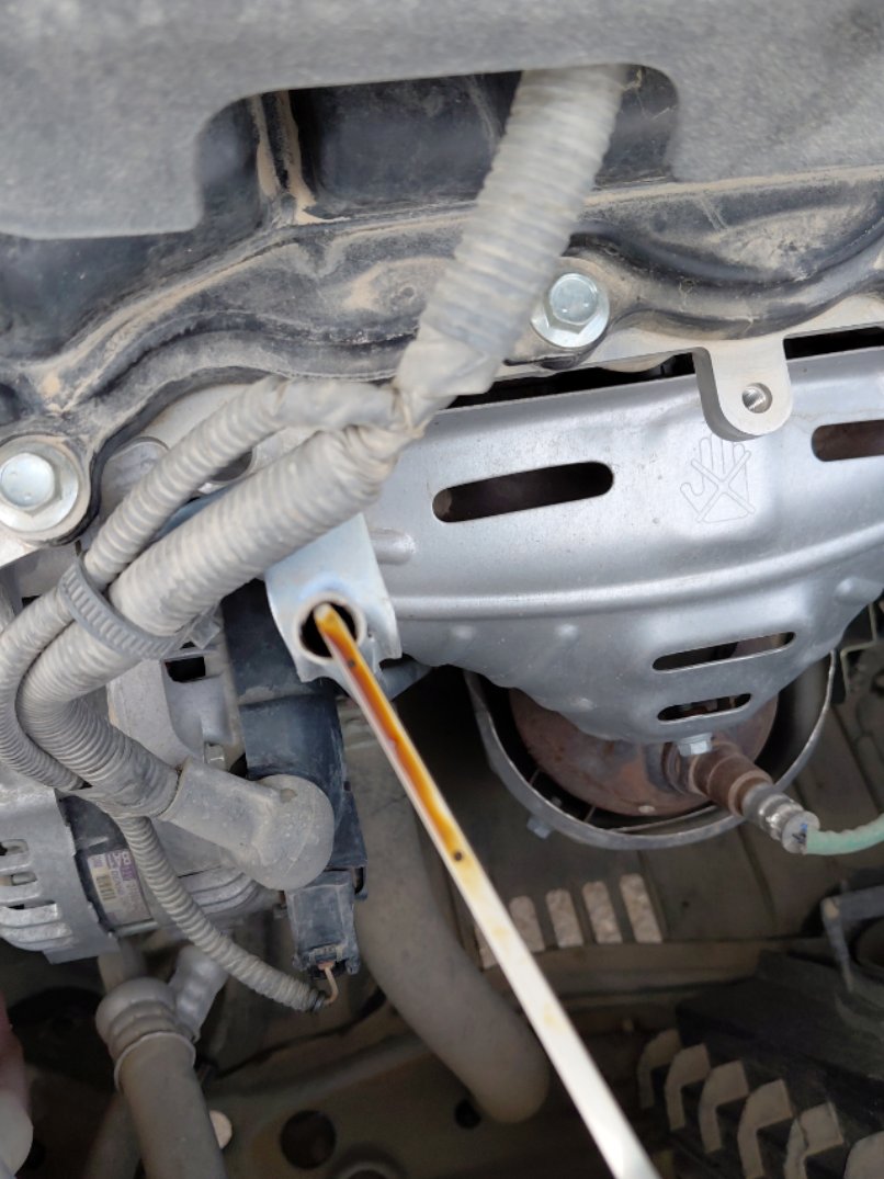 Toyota Yaris Y 2024 image