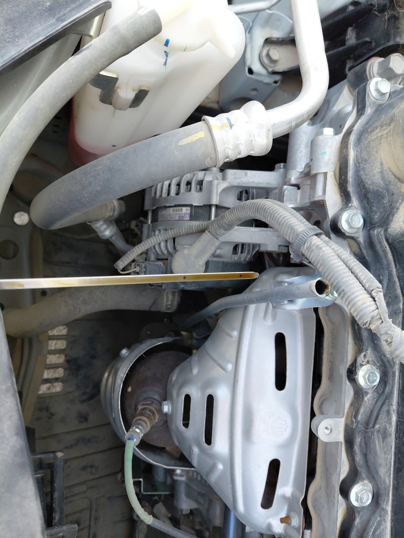 Toyota Yaris Y 2024 image