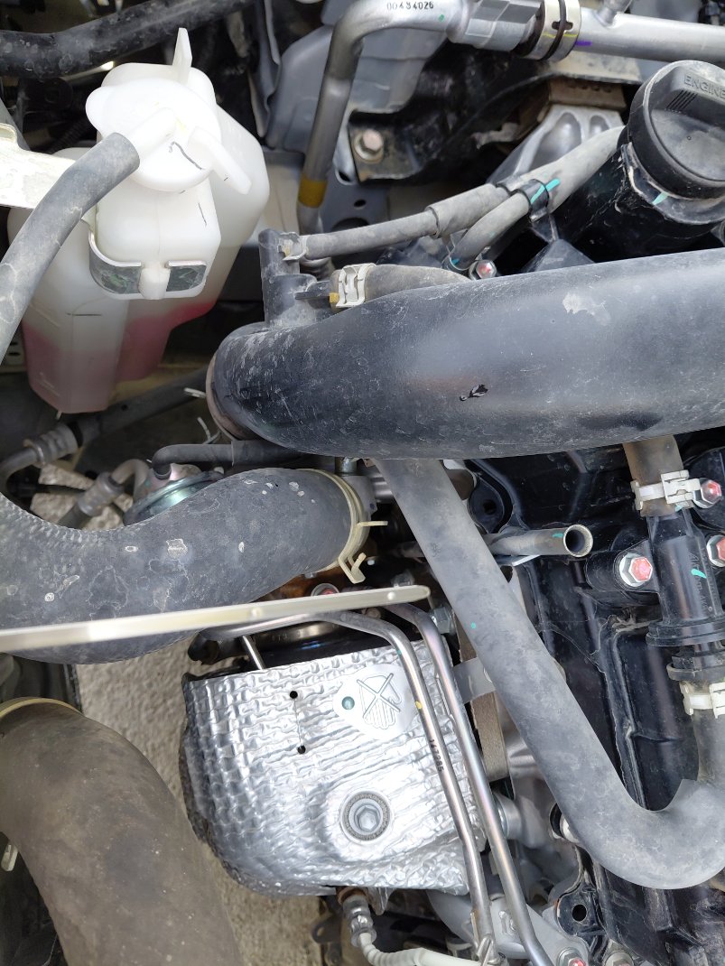 Toyota RAIZE LIMITED 2024 image