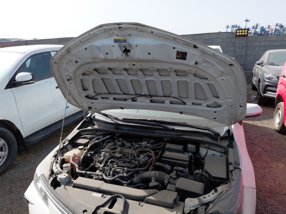 تويوتا كورولا  2021 image