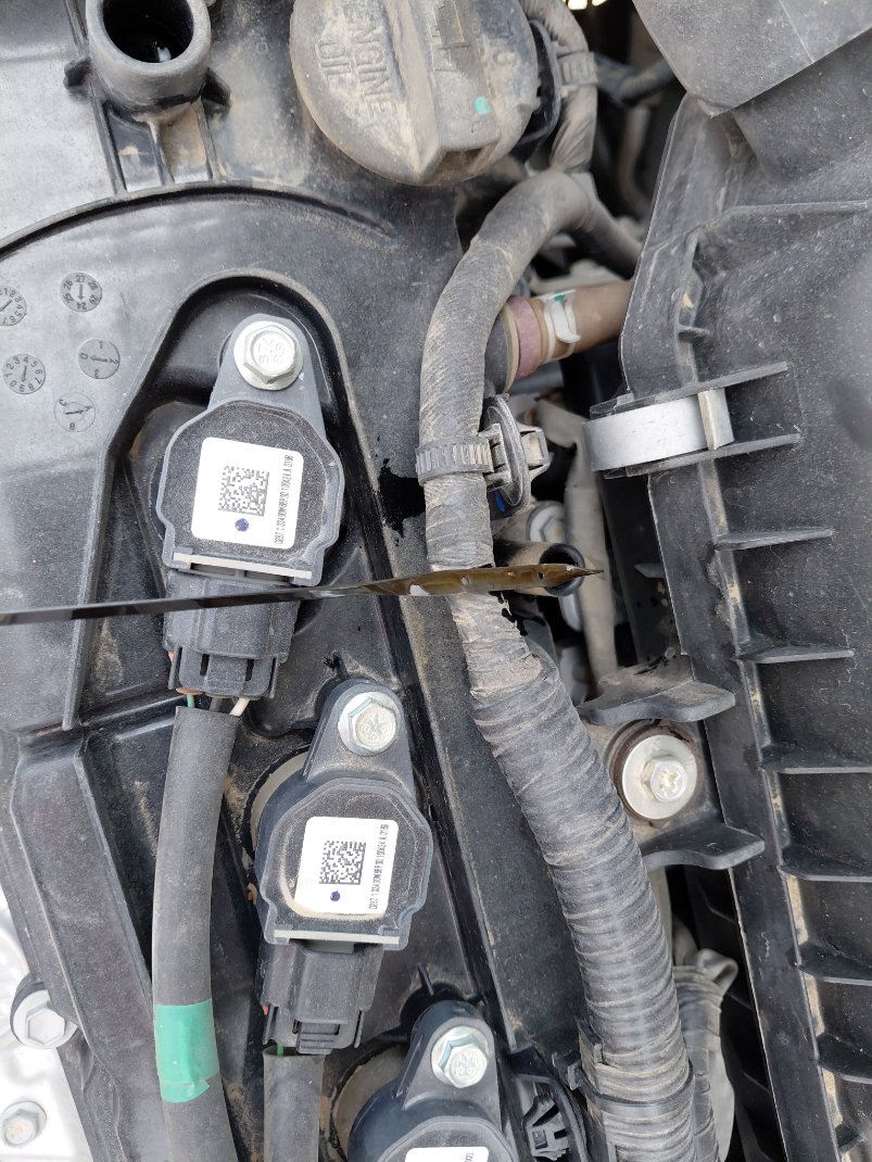 Suzuki DZIRE GL 2025 image