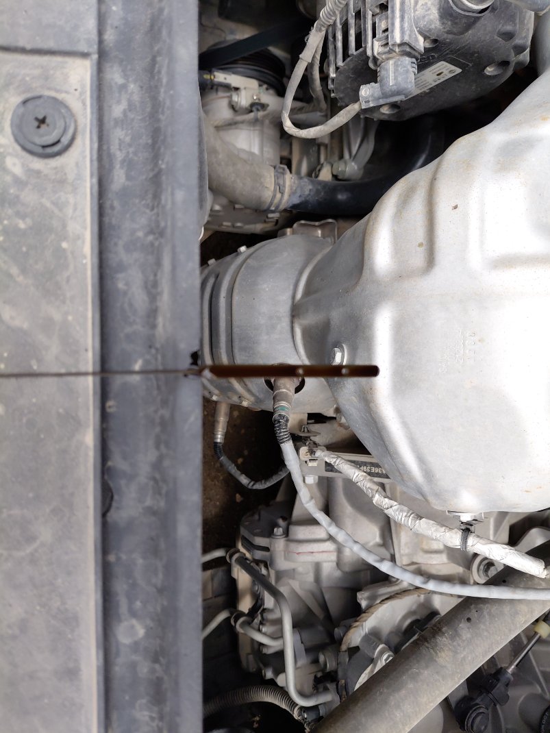 إم جي 5  2023 image