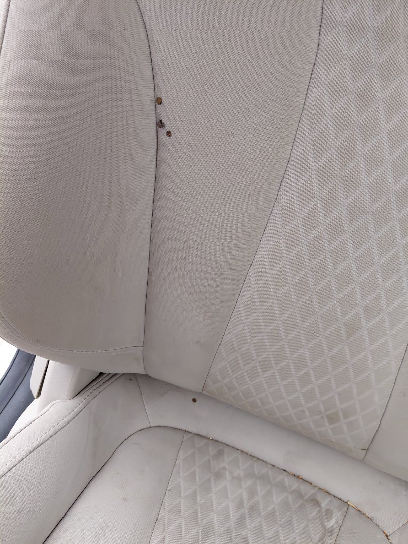 إم جي 5  2023 image