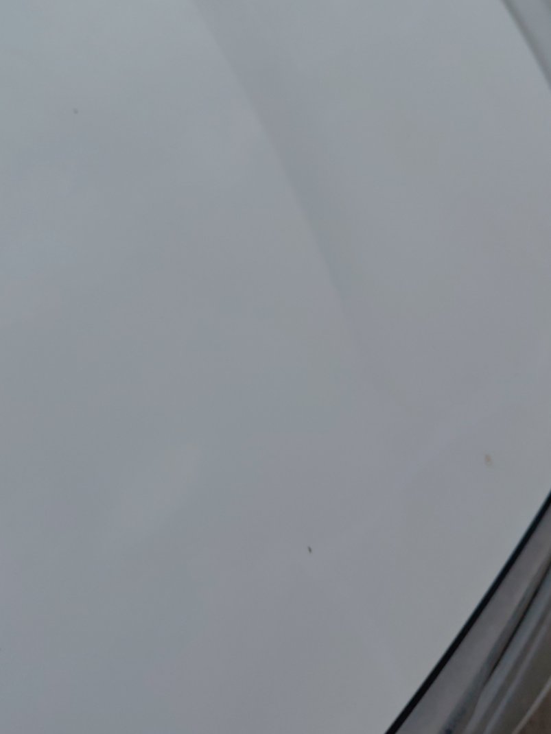 إم جي 5  2023 image