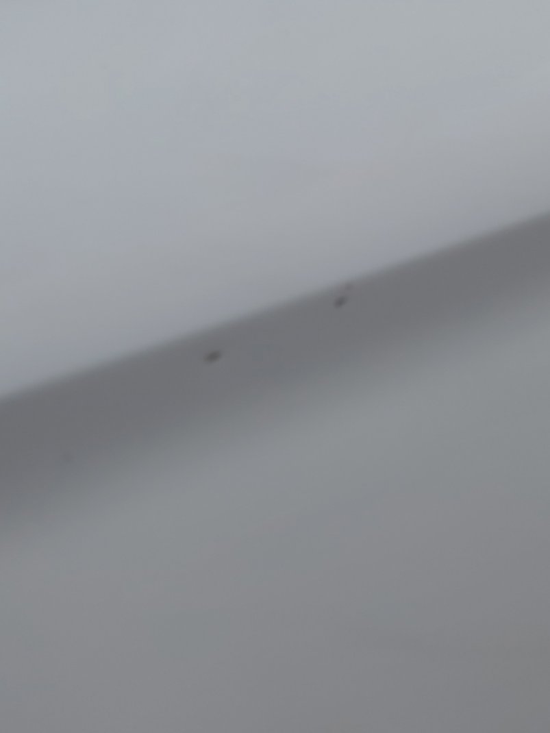 إم جي 5  2023 image