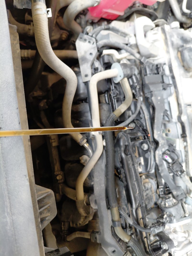 Toyota Highlander LTD HEV - SPORT 2023 image