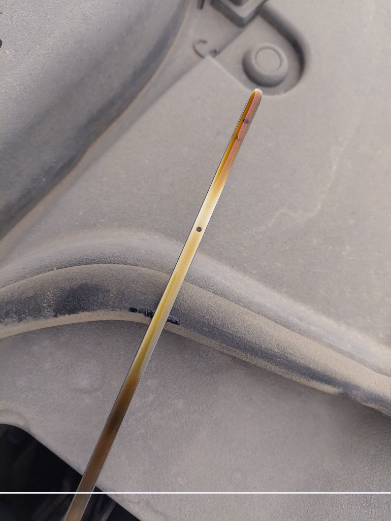 تويوتا كورولا XLI EXECUTIVE M/R  2021 image