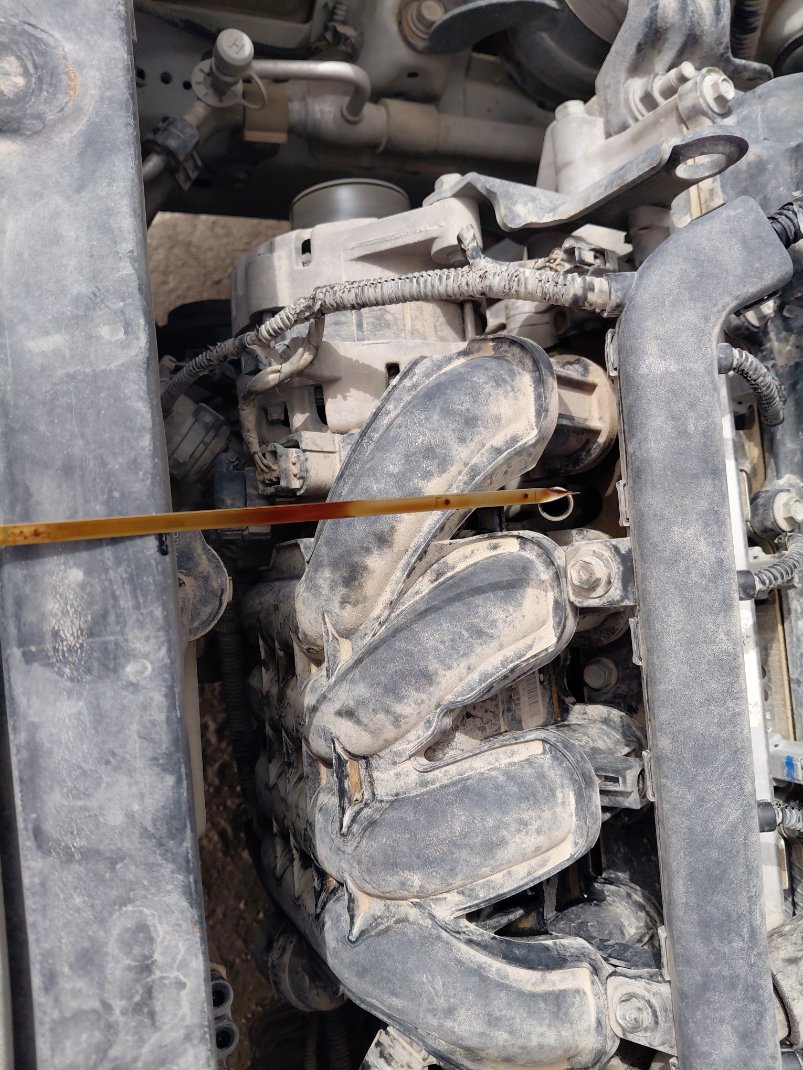 هيونداي أكسنت GL 2020 image