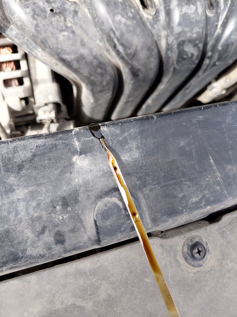 كيا بيجاس LX 2020 image