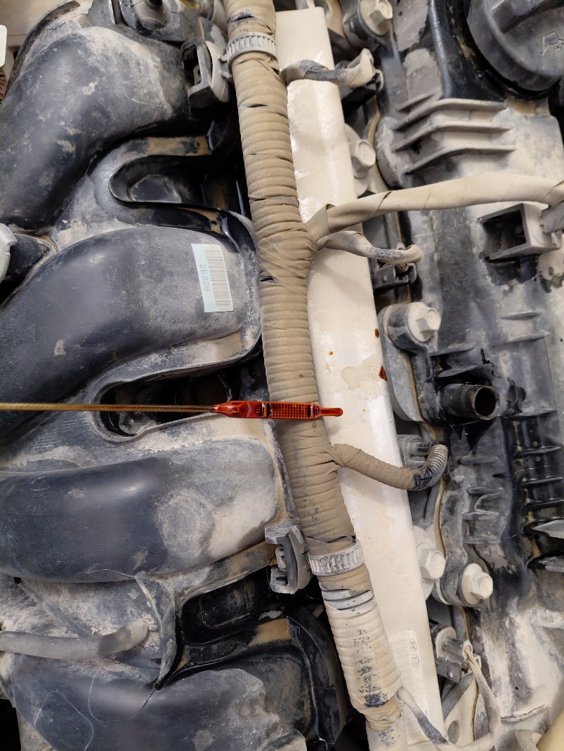 كيا سبورتاج LX 2020 image