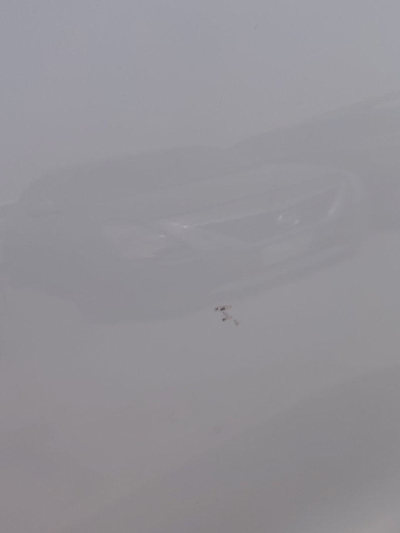 كيا سبورتاج LX 2020 image