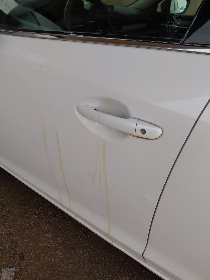 مازدا 6 - ZOOM -  2023 image