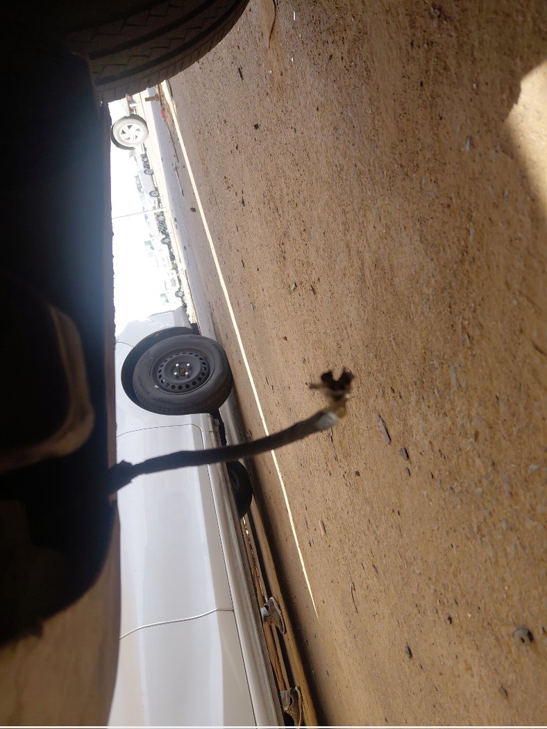 تويوتا يارس Y 2021 image