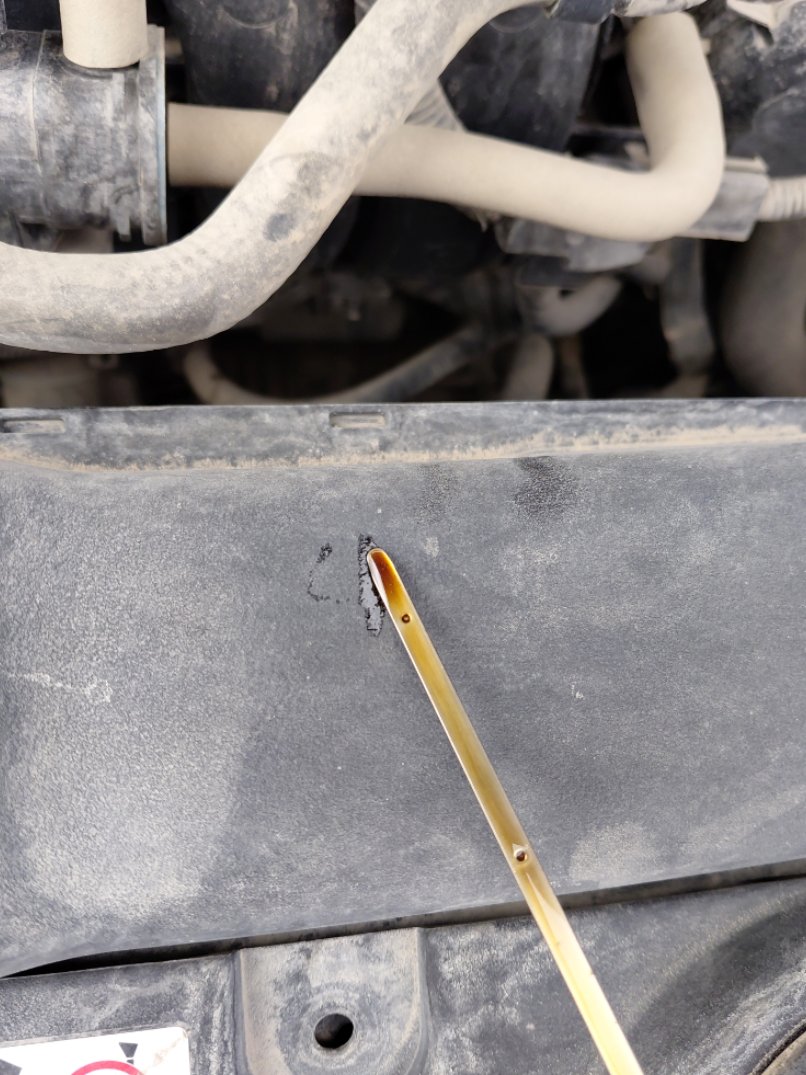 تويوتا كورولا XLI 2021 image