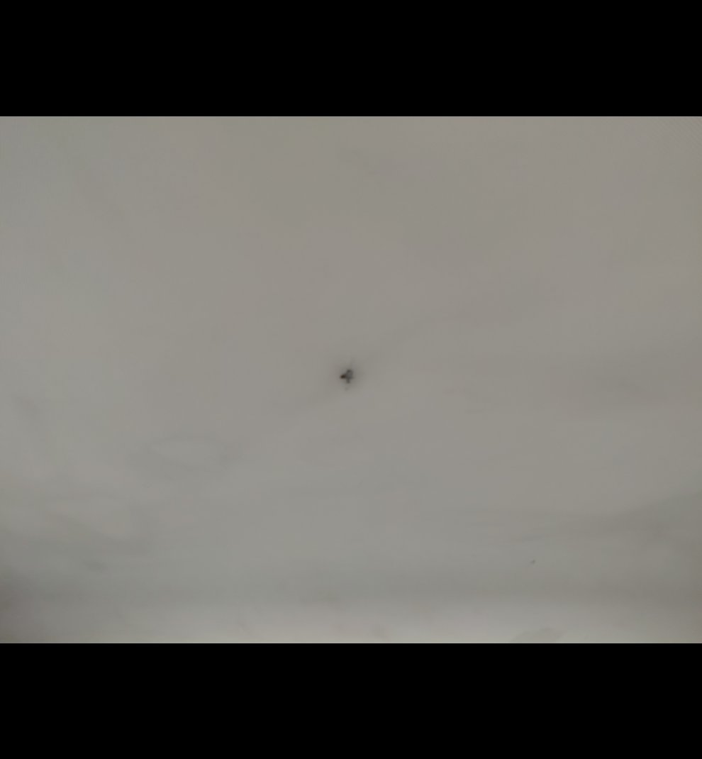 إم جي 5  2024 image