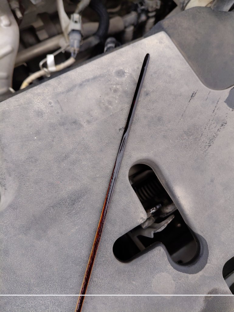 تويوتا يارس Y PLUS 2021 image