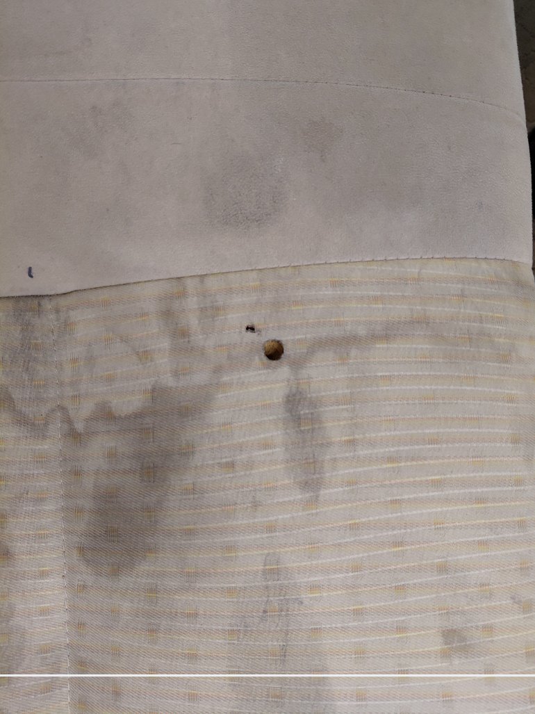 تويوتا يارس Y PLUS 2021 image