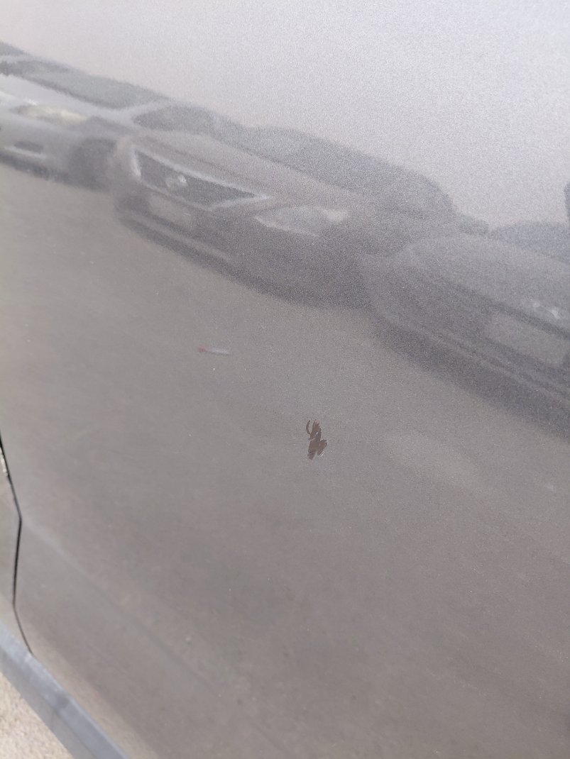 تويوتا رايز XLE 2023 image