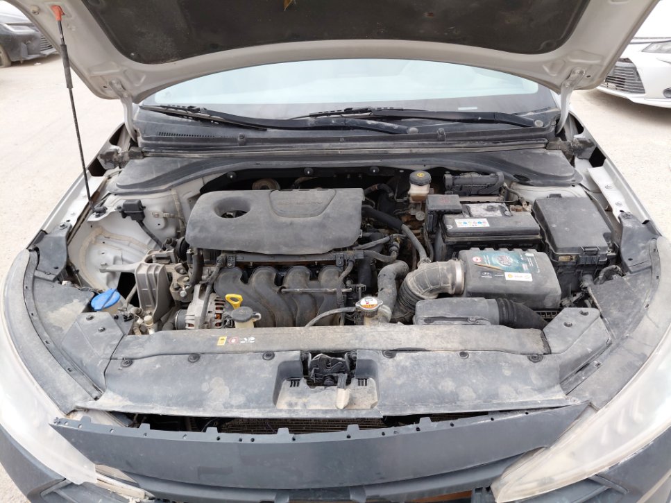 هيونداي إلنترا GL 2020 image