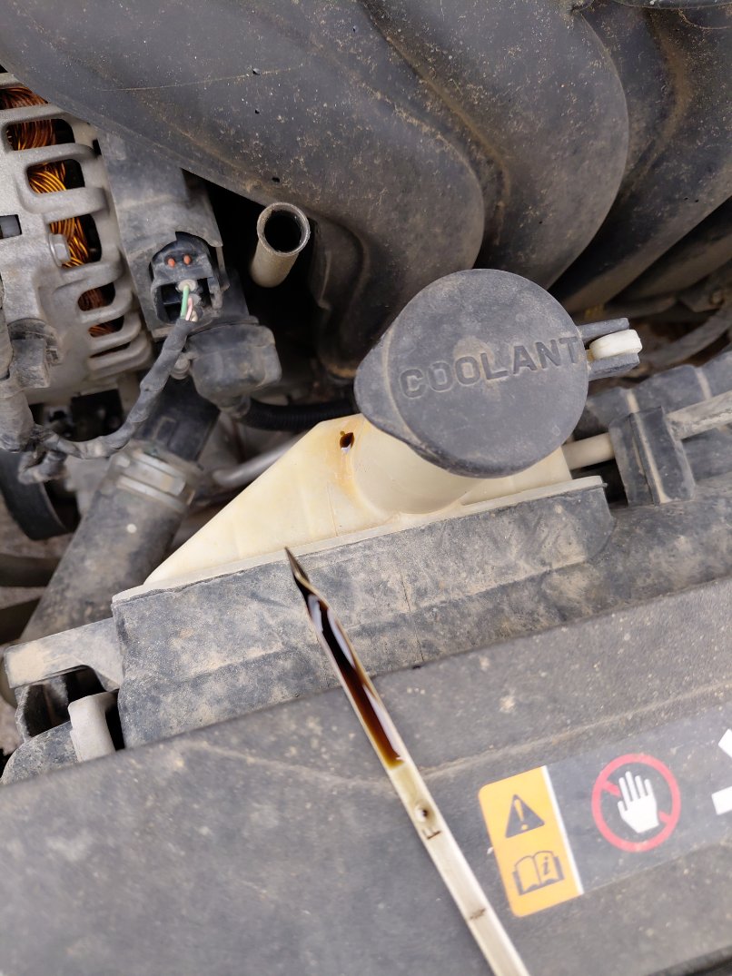 هيونداي إلنترا GL 2020 image