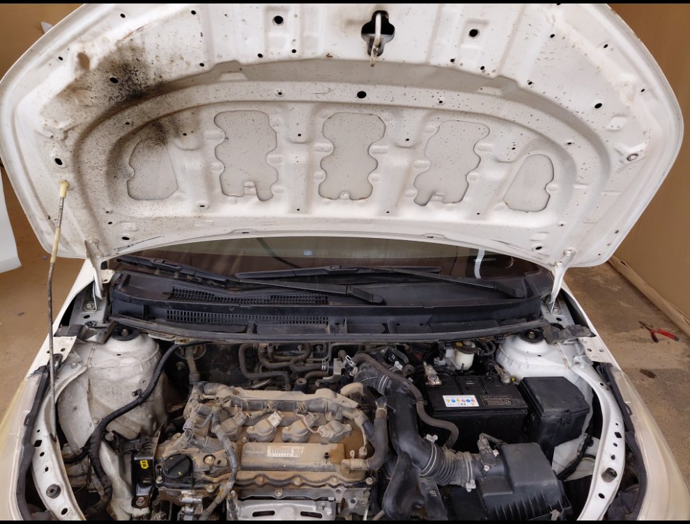 تويوتا يارس Y PLUS 2021 image