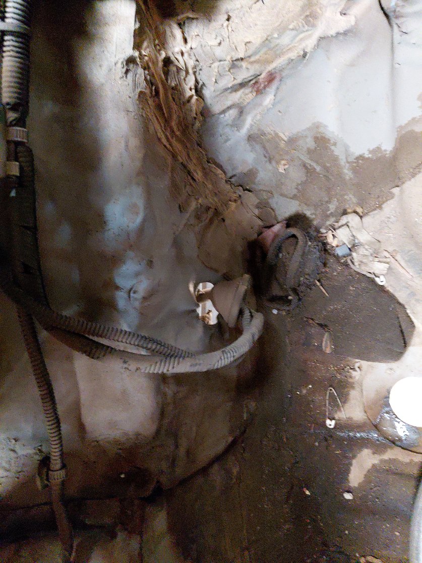 تويوتا يارس Y PLUS 2021 image