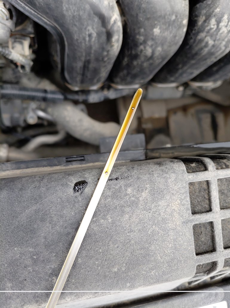 تويوتا كورولا XLI 2020 image