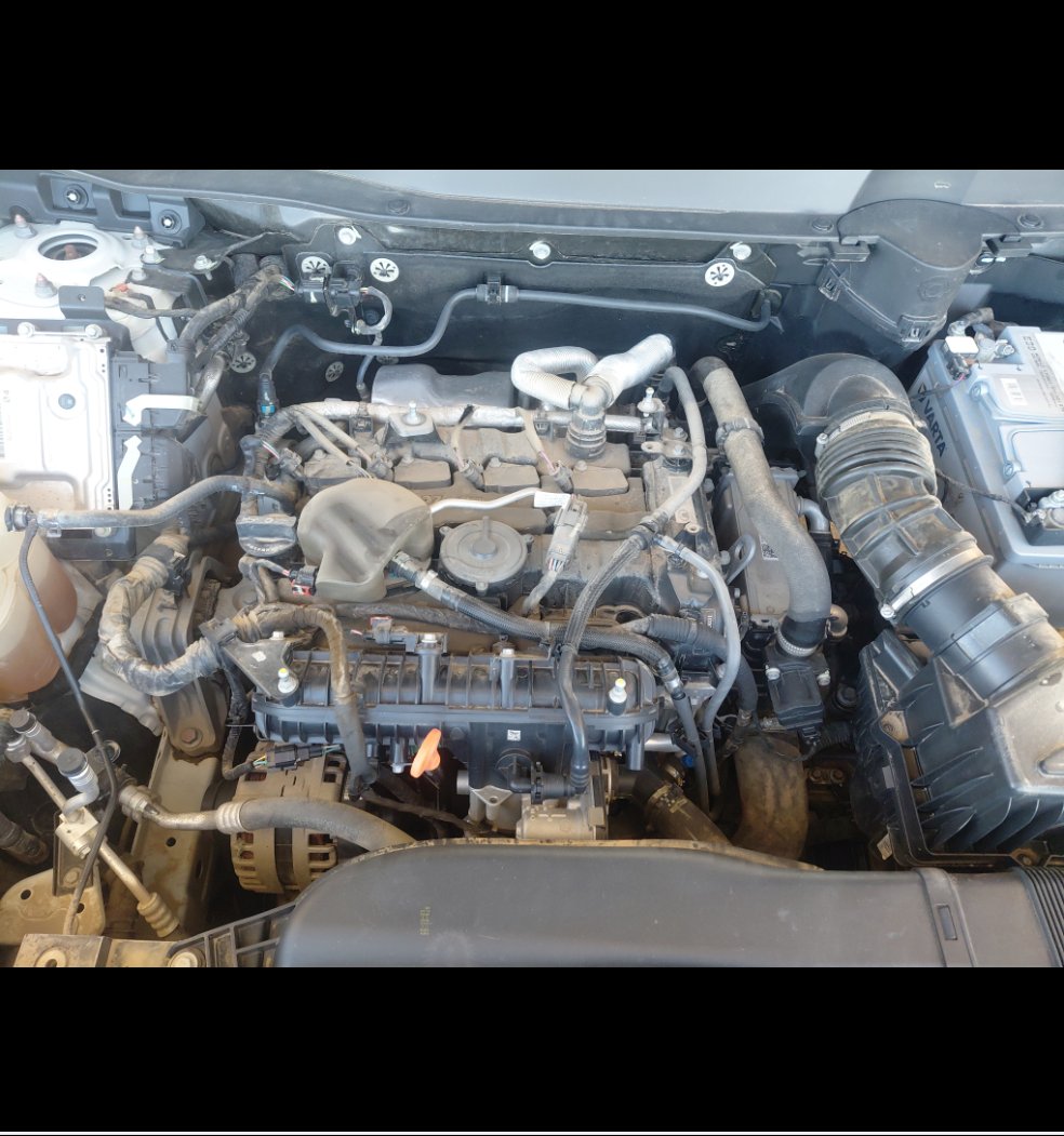 Haval Dargo Sport  2022 image