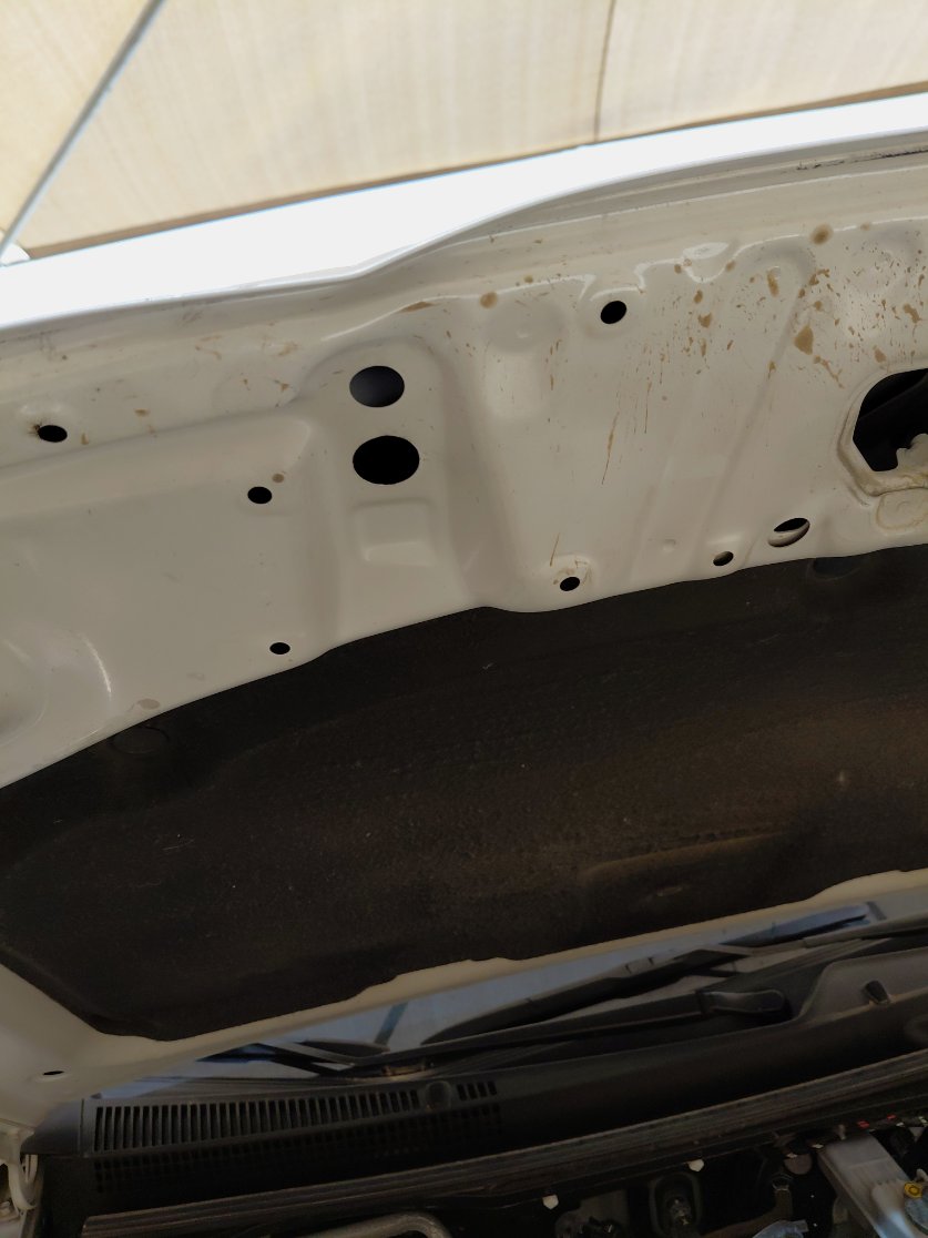 Toyota Yaris Y 2023 image