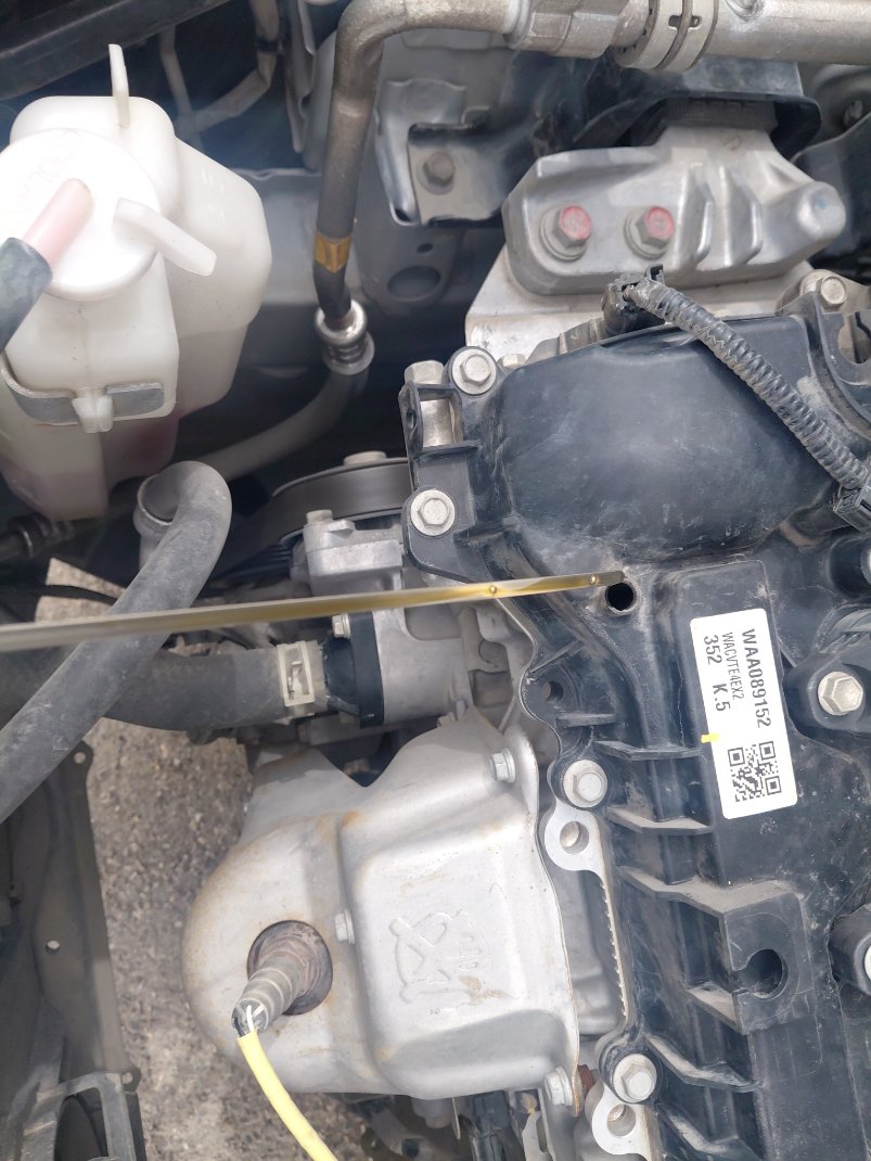 تويوتا رايز XLE 2024 image