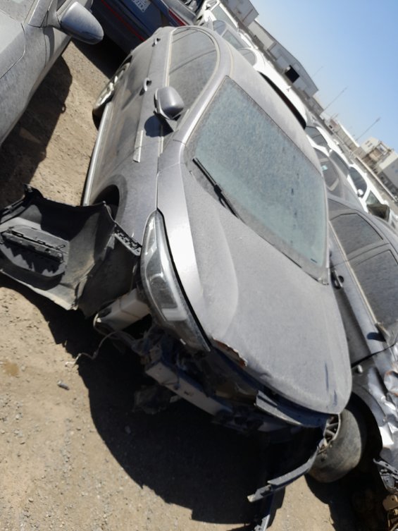 شيري أريزو 6  2023 image