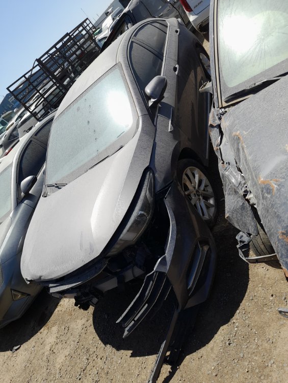 شيري أريزو 6  2023 image