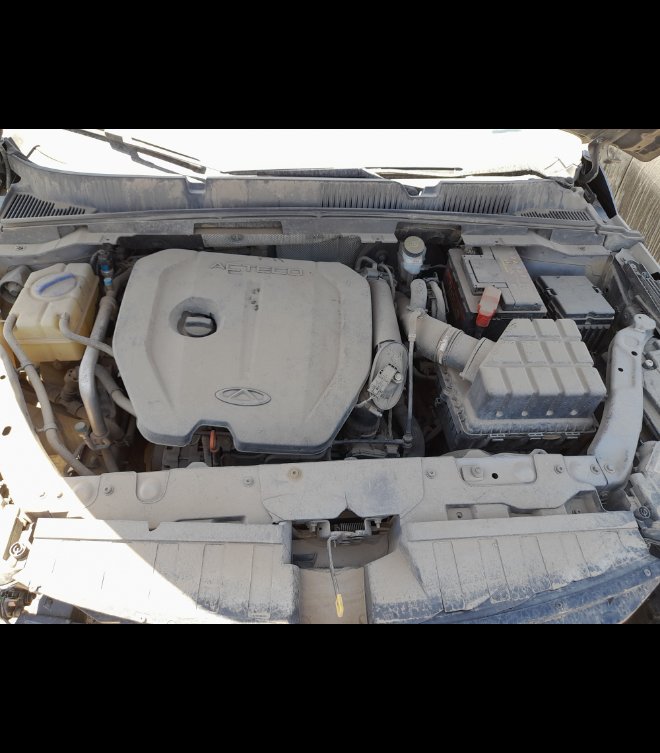 شيري أريزو 6  2023 image