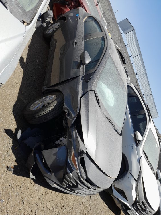 نيسان صني  2024 image