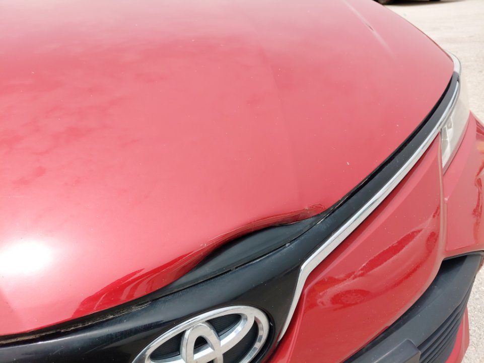 تويوتا كورولا XLI EXE M/R  2022 image