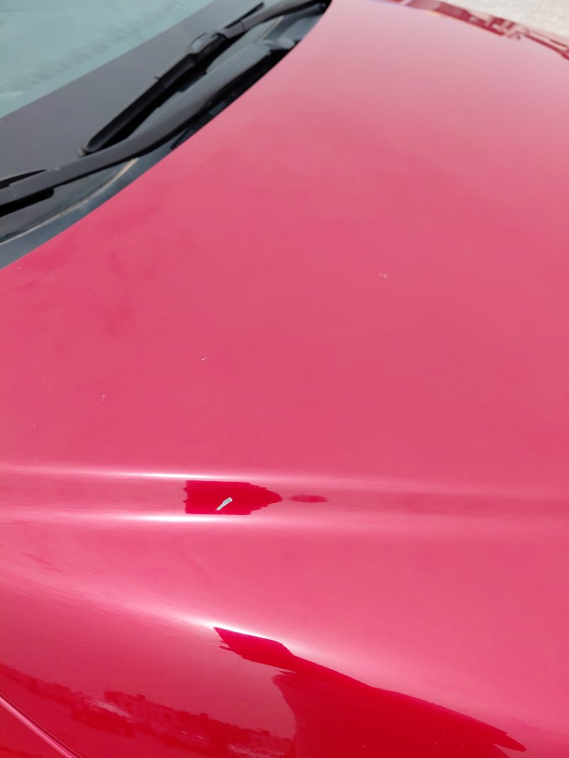 تويوتا كورولا XLI EXE M/R  2022 image