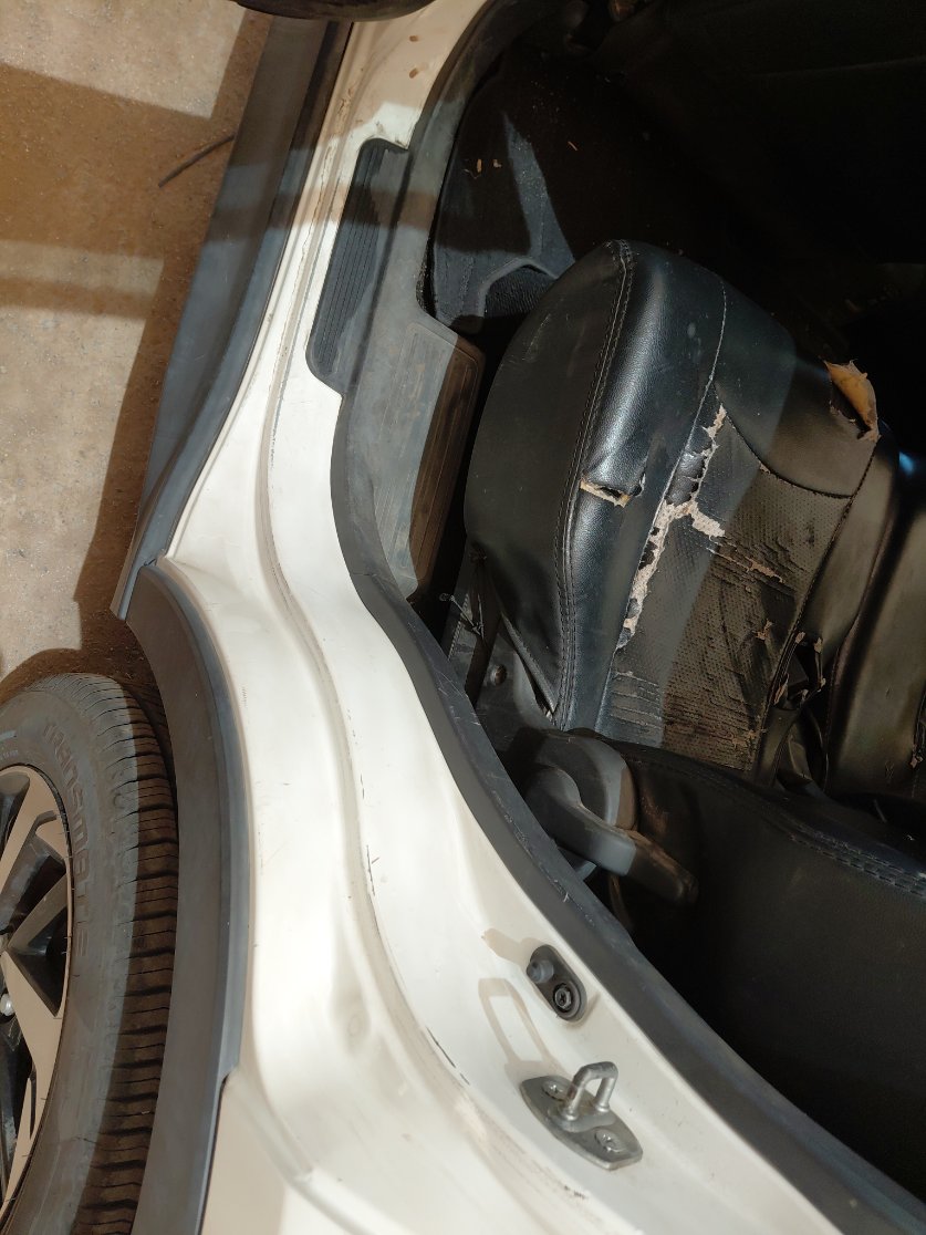 تويوتا راش STD Sport 2023 image