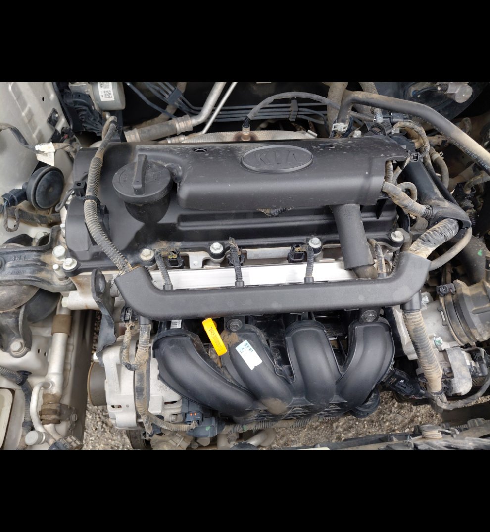 كيا ريو ال اكس  2021 image