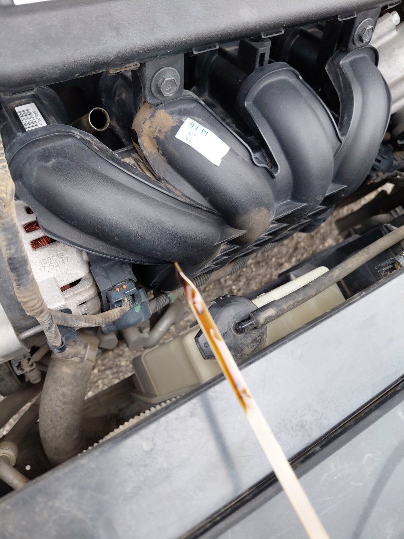 كيا ريو ال اكس  2021 image