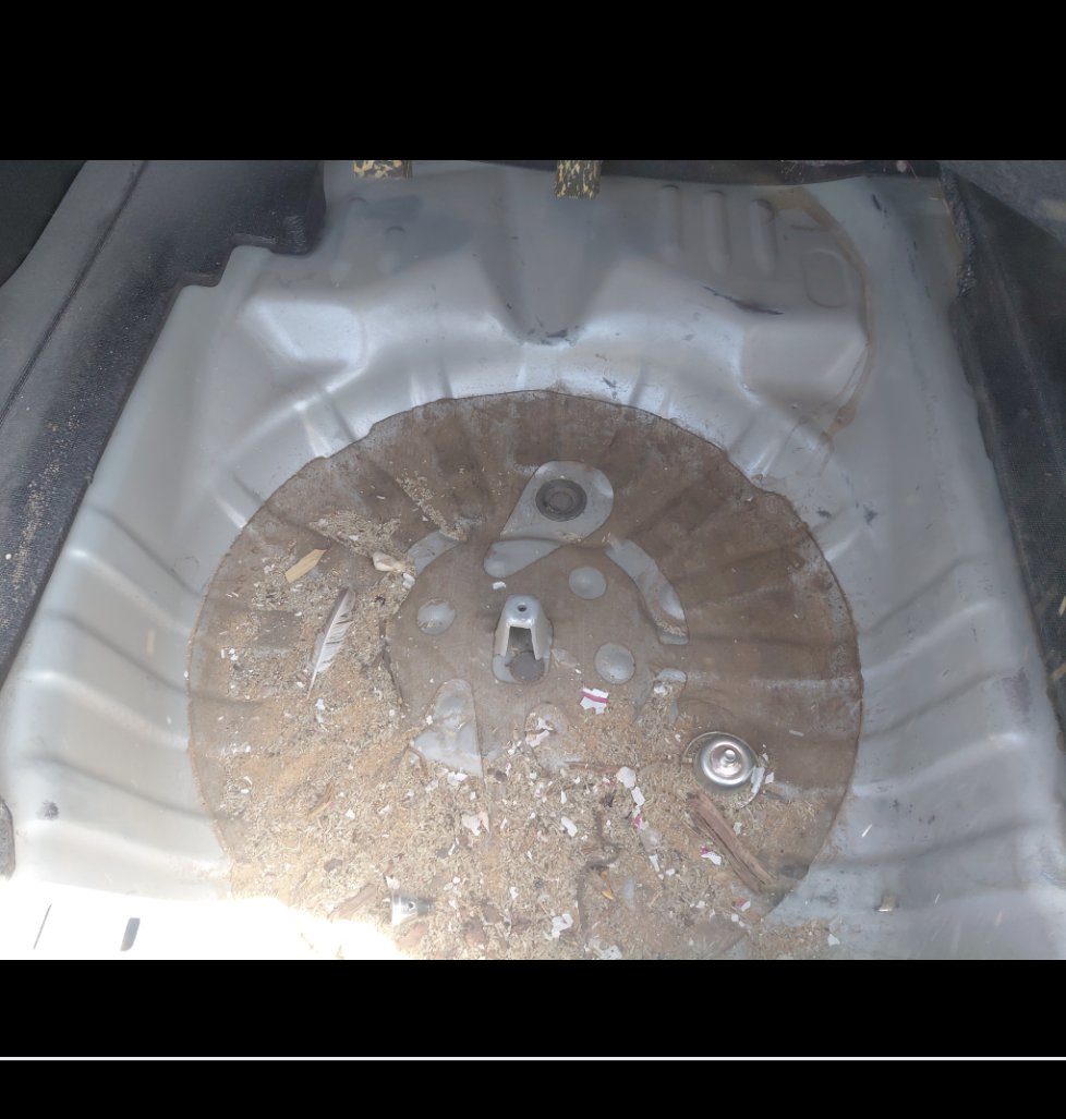 تويوتا يارس Y 2019 image