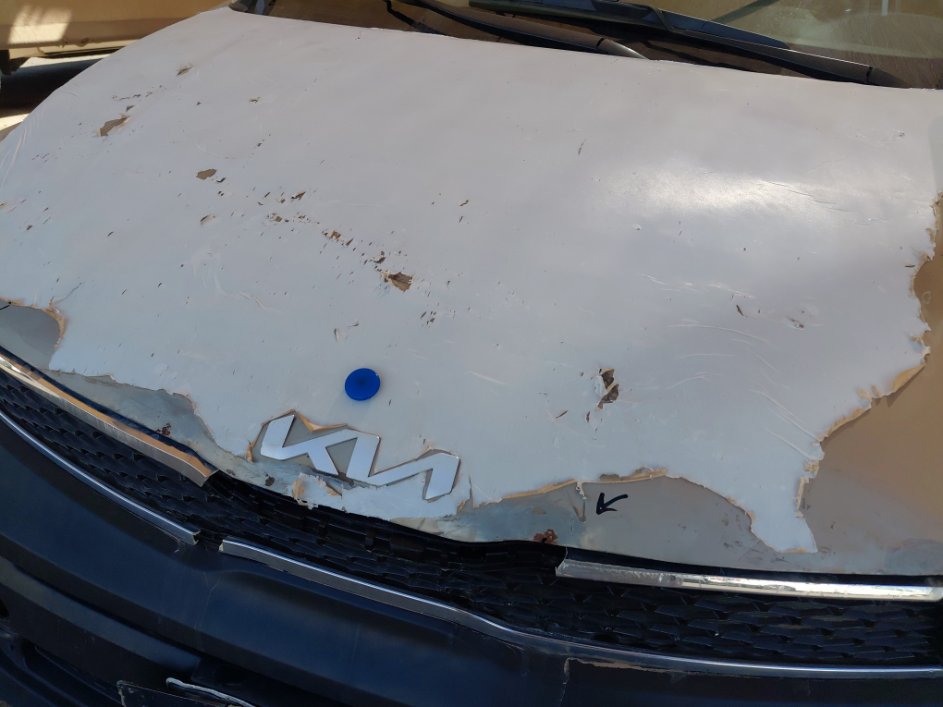 كيا بيجاس LX 2023 image