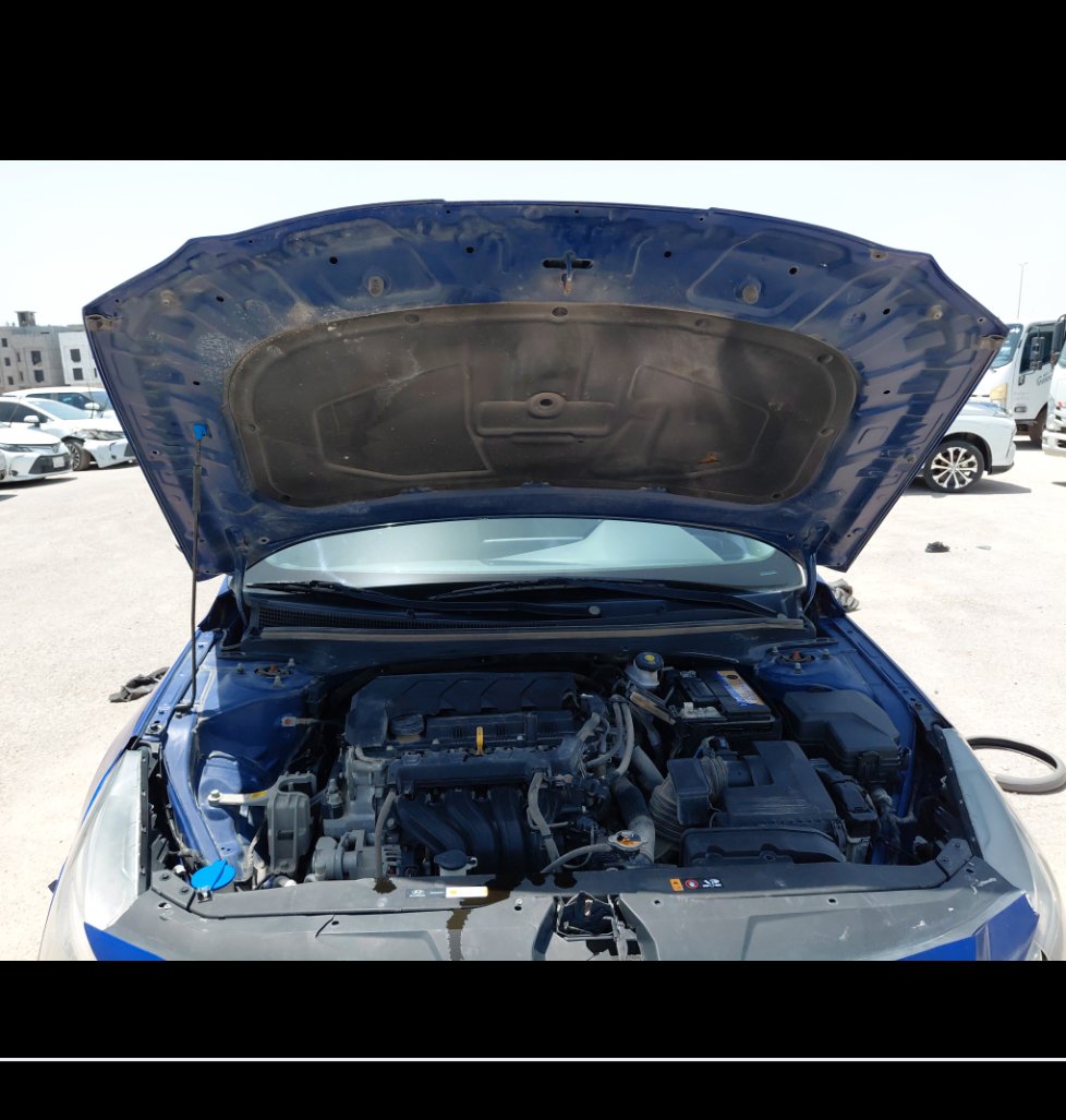 Hyundai Elantra FLEET 2022 image