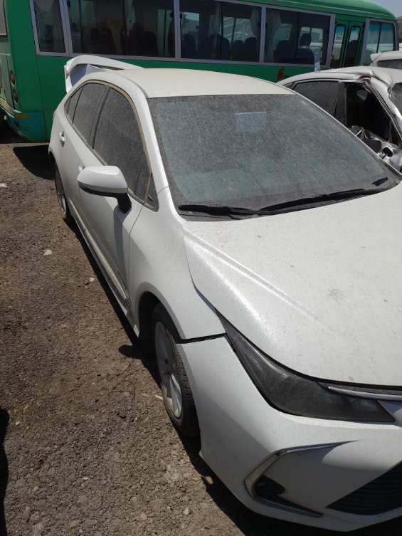 تويوتا كورولا  2023 image